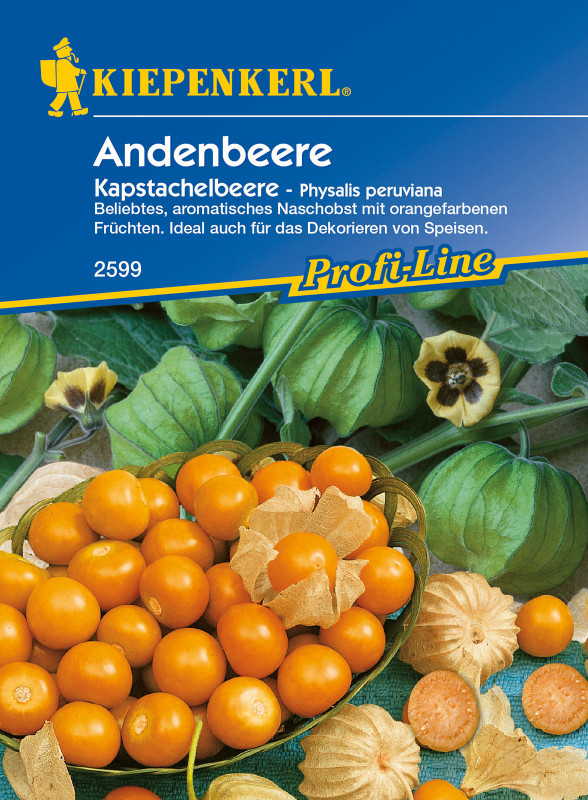 Andenbeere Kapstachelbeere / Physalis peruviana