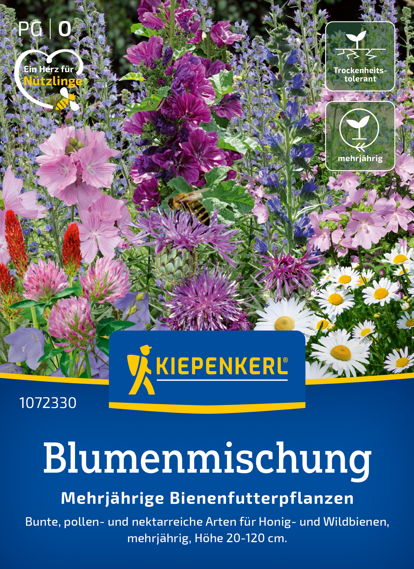 Blumenmischung Mehrjährige Bienenfutterpflanzen