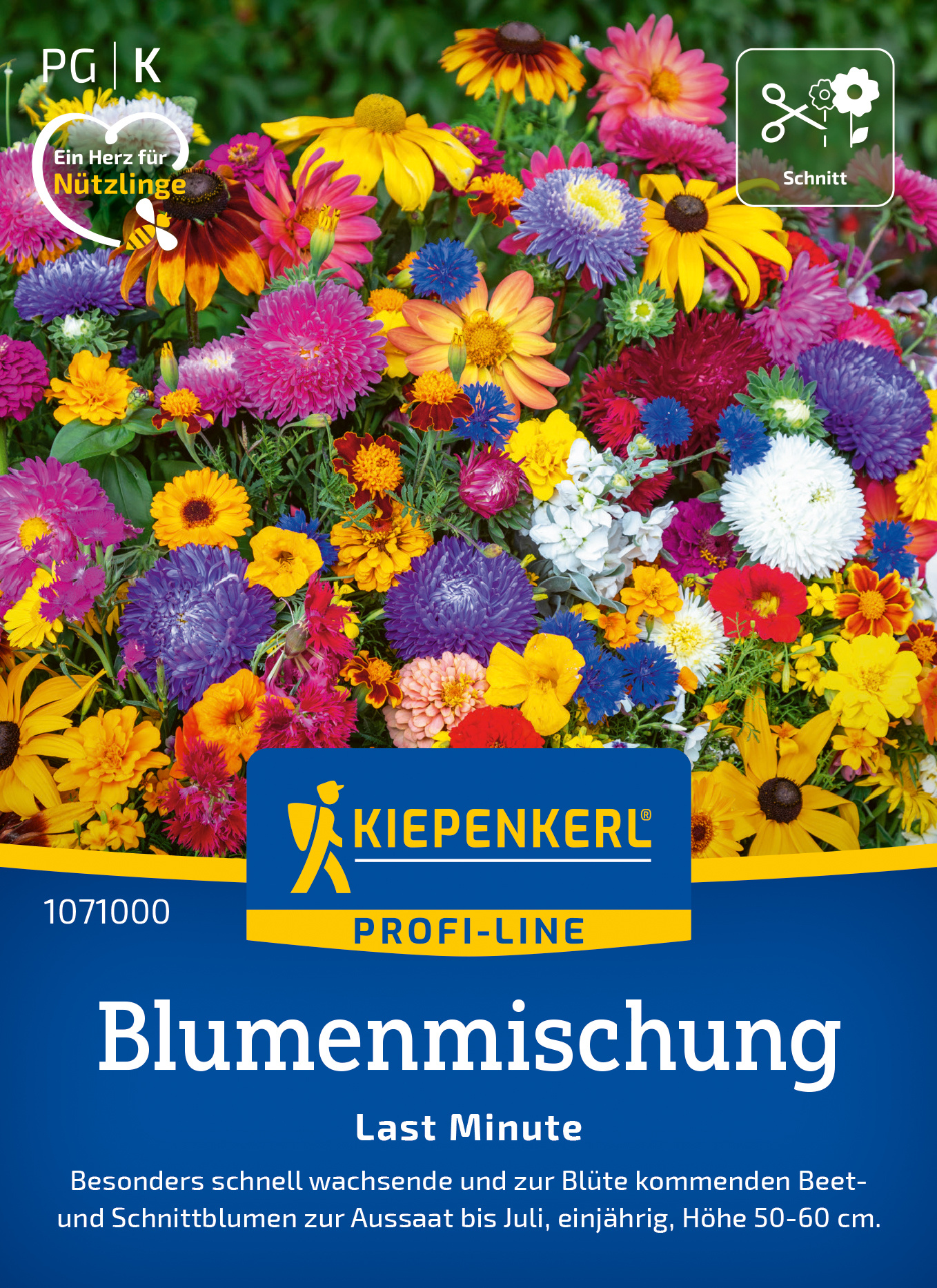 Blumenmischung Last Minute