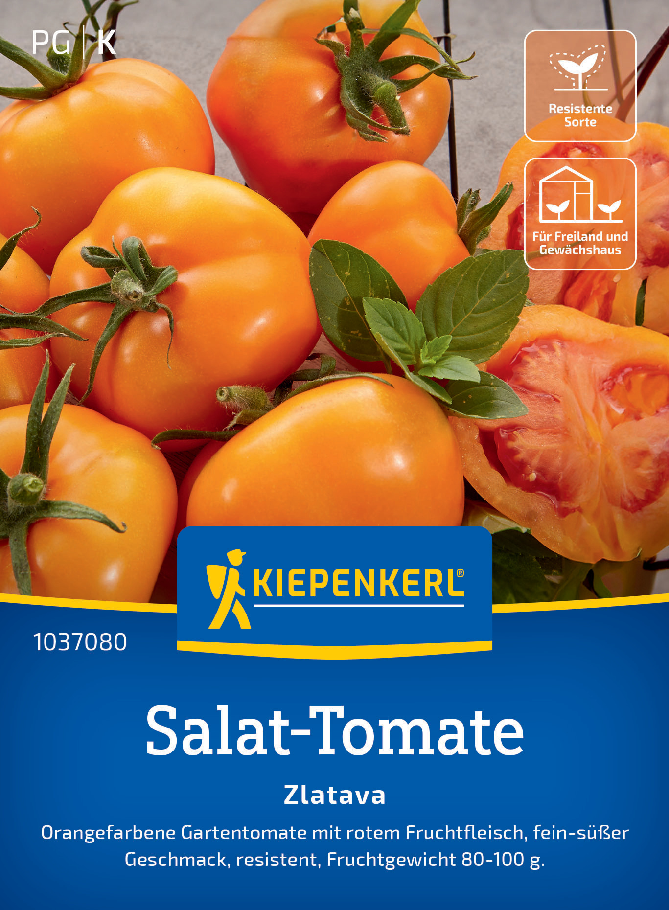 Salat-Tomatensamen Zlatava