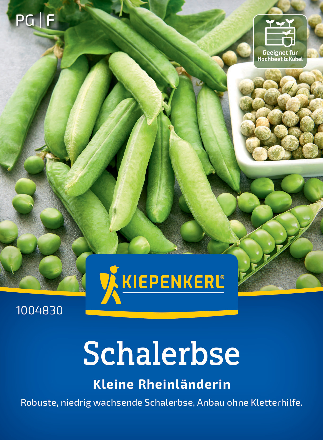 Schalerbse Kleine Rheinländerin