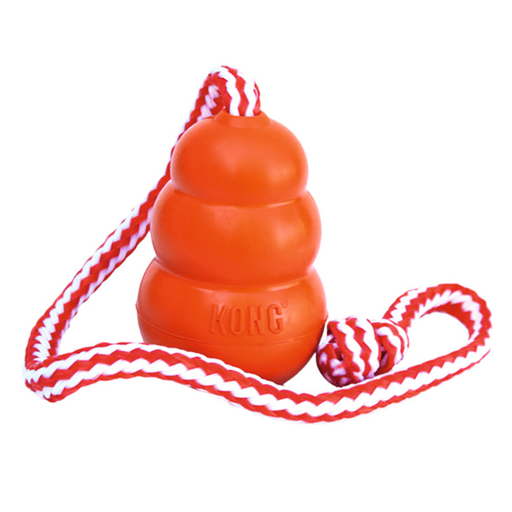 Kong Dog Aqua mit Wurftau L