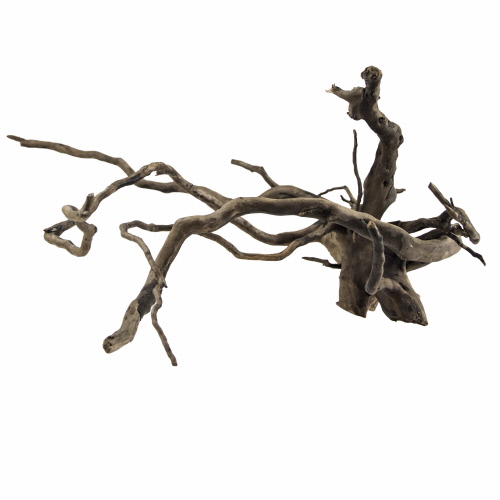 Fingerwood L, dark, 40-60 cm - Die abgebildete Wurzel ist nur beispielhaft. Da es sich um ein Naturprodukt handelt ist jede Wurzel vom Aussehen her anders.