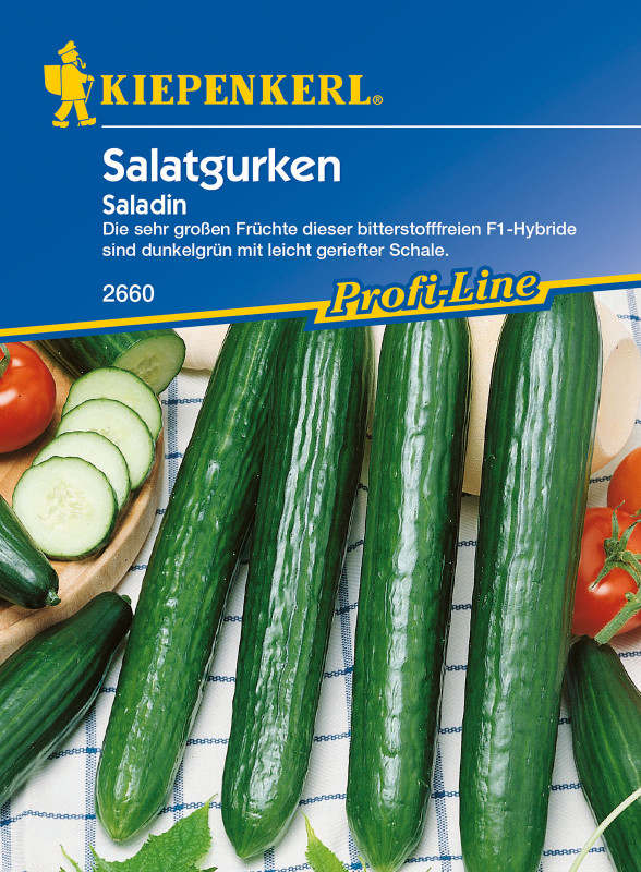 Gurken Saladin, F1 / Cucumis sativus