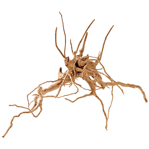 Fingerwood S, 20-30 cm - Die abgebildete Wurzel ist nur beispielhaft. Da es sich um ein Naturprodukt handelt ist jede Wurzel vom Aussehen her anders.