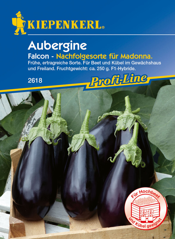 Aubergine Falcon / Solanum melongena