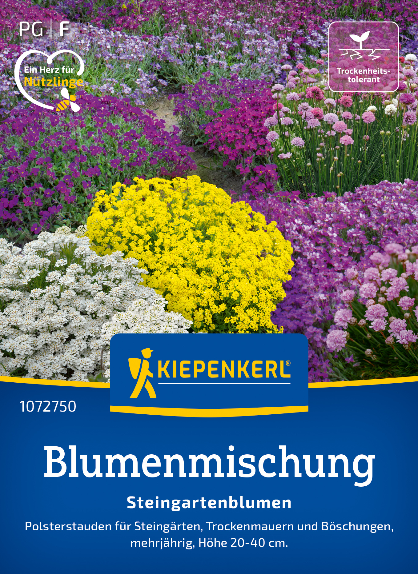 Blumenmischung Steingartenblumen