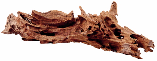 Mangrovenholz S, 15-25 cm - Die abgebildete Wurzel ist nur beispielhaft. Da es sich um ein Naturprodukt handelt ist jede Wurzel vom Aussehen her anders.