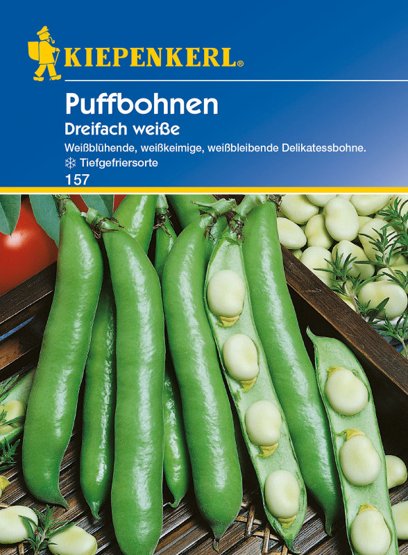 Puffbohnen Dreifach Weiße / Vicia faba