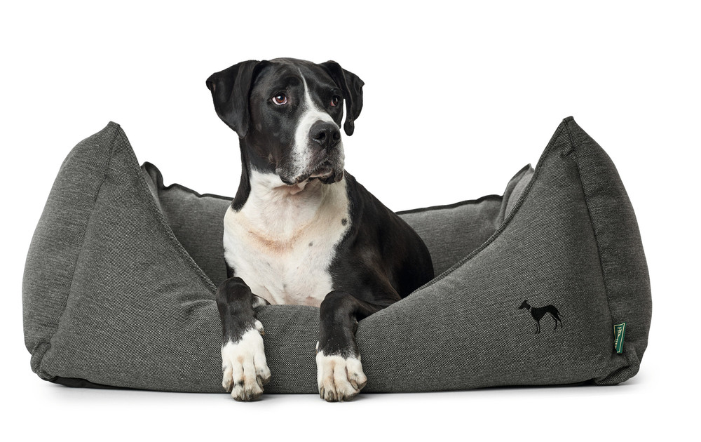 Hundesofa Livingston M (80 x 60 cm), anthrazit