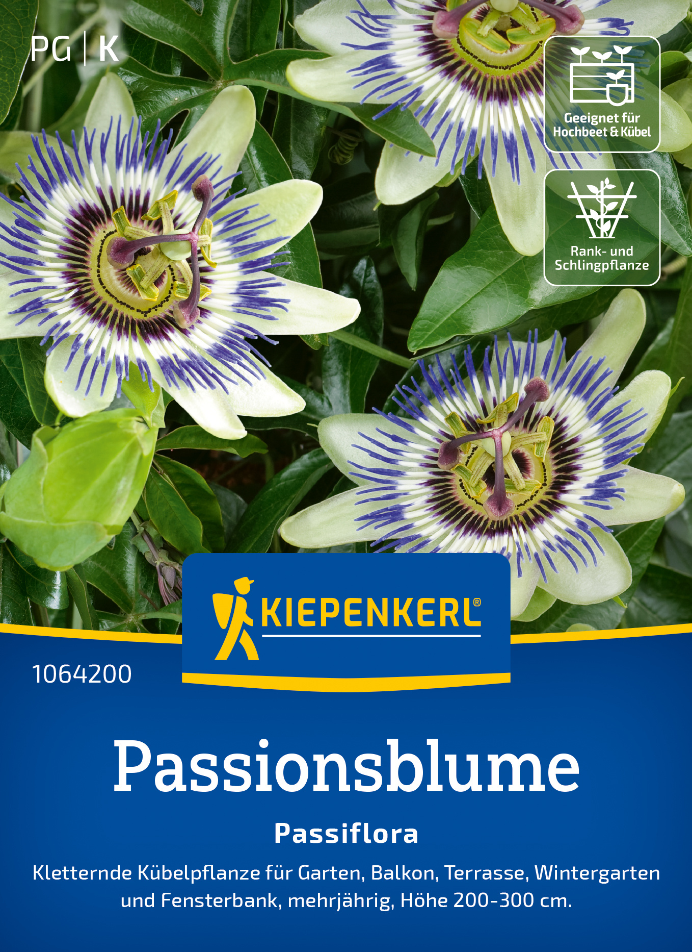 Passionsblume Passiflora