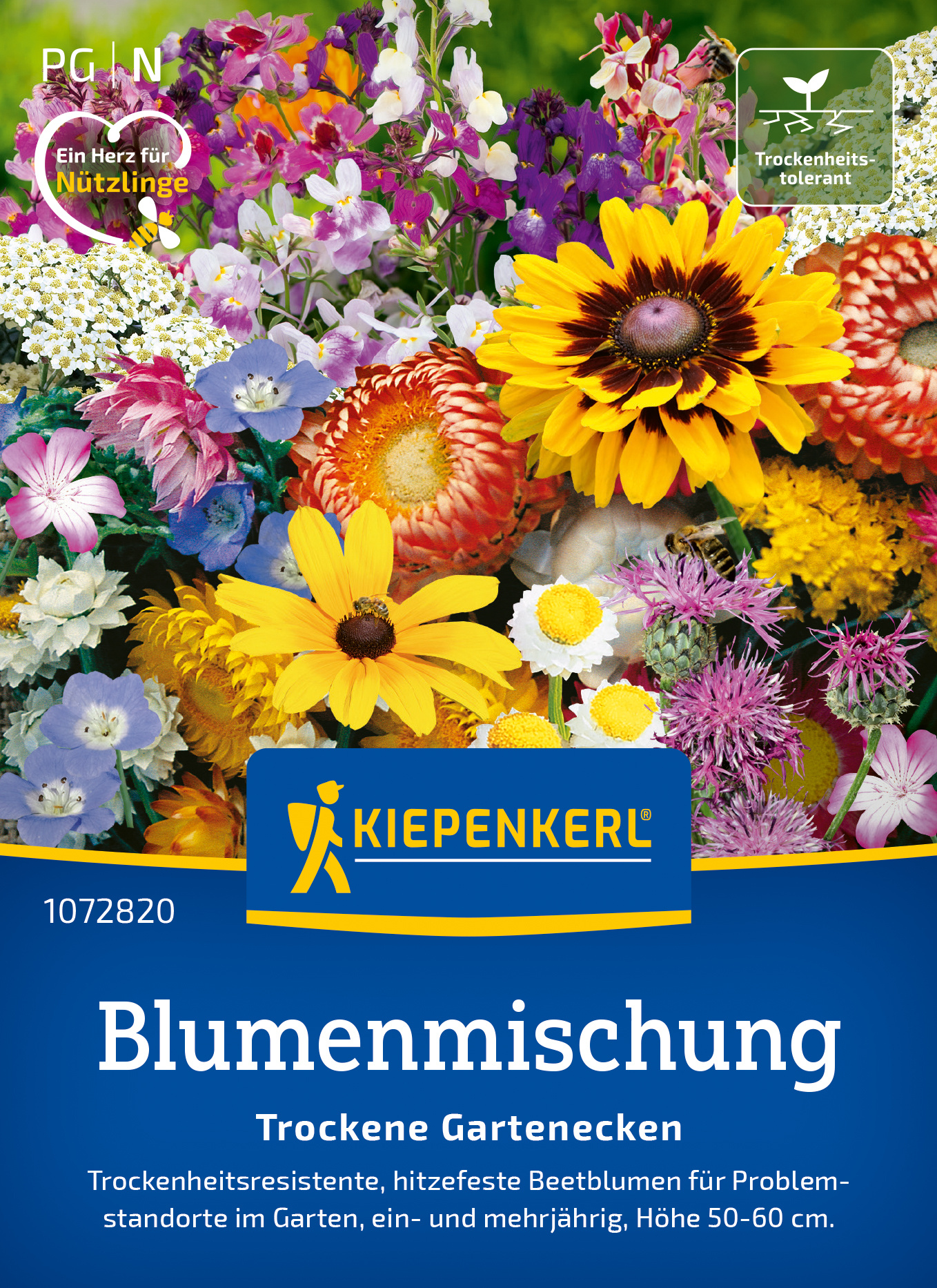 Blumenmischung Trockene Gartenecken