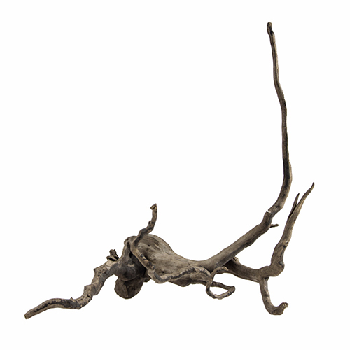 Fingerwood S, dark, 20-30 cm  -  Die abgebildete Wurzel ist nur beispielhaft. Da es sich um ein Naturprodukt handelt ist jede Wurzel vom Aussehen her anders.