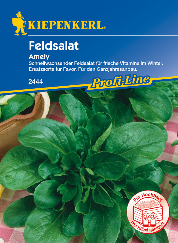 Feldsalat Amely / Valerianella locusta