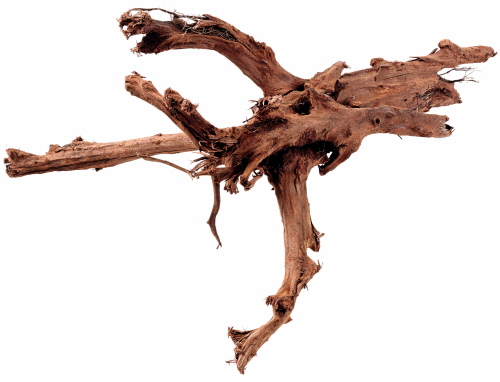 Mangrovenholz XXL, 70-90 cm - Die abgebildete Wurzel ist nur beispielhaft. Da es sich um ein Naturprodukt handelt ist jede Wurzel vom Aussehen her anders.