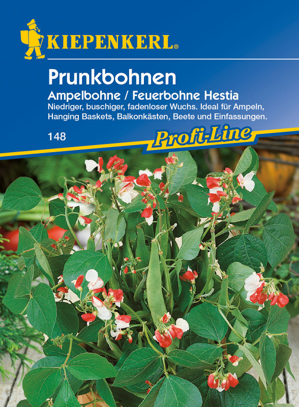 Prunkbohne Hestia / Phaseolus coccineus